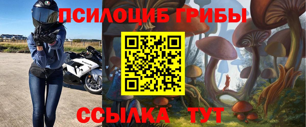 Орск  Галлюциногенные грибы прущие грибы  дарнет шоп  Вход с VPN  Галлюциногенные грибы Psilocybine cubensis 