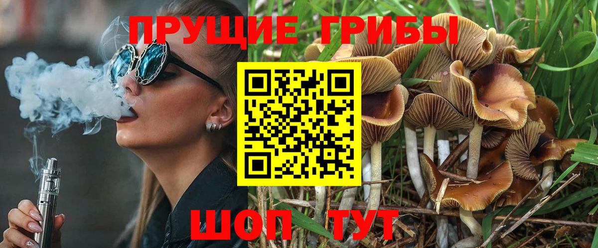 Псилоцибиновые грибы Psilocybine cubensis Орск